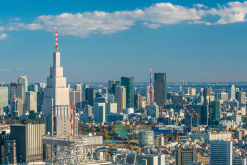 Naklejka na ściany i meble Downtown Tokyo skyline