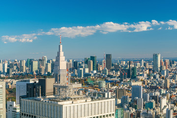 Fototapeta premium Downtown Tokyo skyline