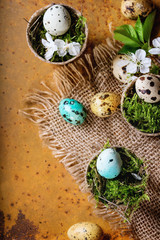 Fototapeta na wymiar Colorful Easter quail eggs