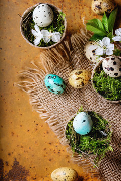 Colorful Easter quail eggs