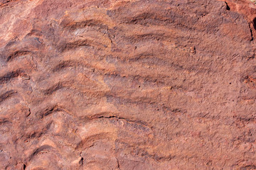 Fototapeta premium Patterns of Australia: Fossilized sand ripples in Lawn Hill NP