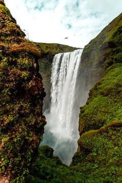 Bird flying above waterfall 