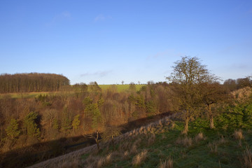 mixed woodland and slopes