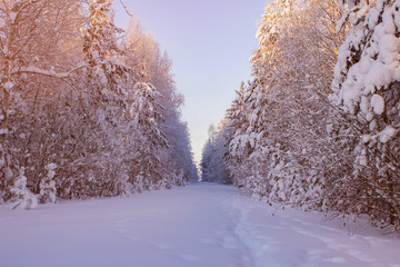 Winter landscape, snowy road trail. Frosty bright Sunny day