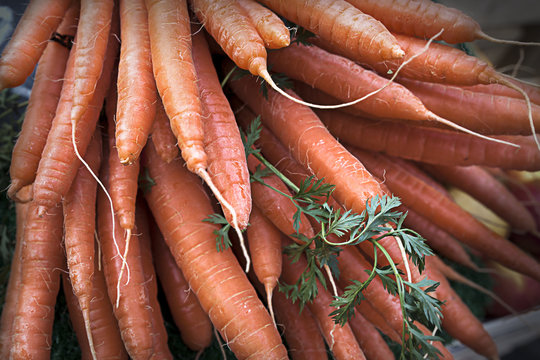 Carrots In a Bundle In a Market in Berlin