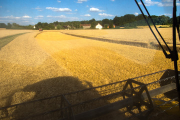 Moisson de bl&eacute;