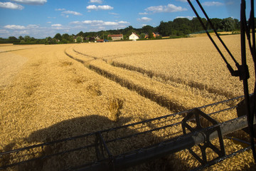 Moisson de bl&eacute;