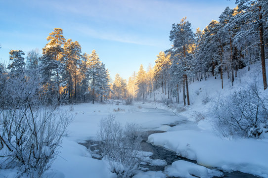 морозное солнечное утро в уральском лесу с рекой, Россия, январь