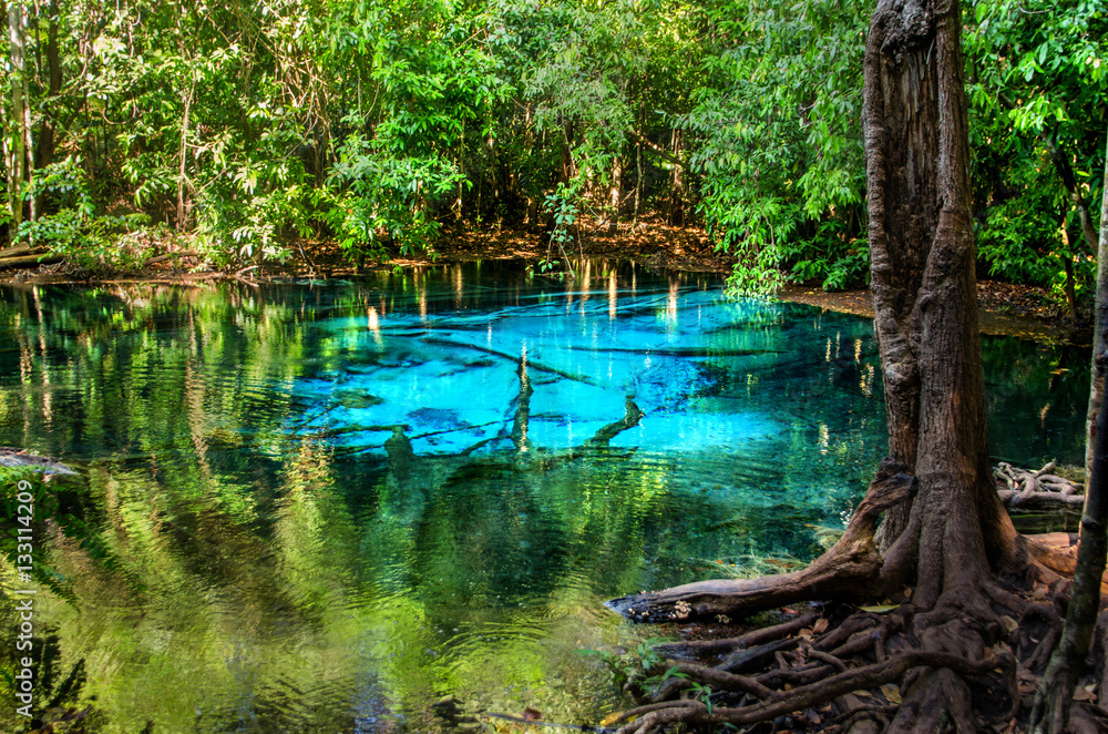 Wall mural Blue or emerald pool in National park Sa Morakot, Krabi, Thailand. Fantastic blue lake in the middle of the rainforest.