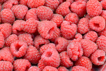 Himbeeren als Hintergrundbild