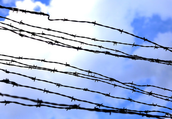 dangerous and sharp barbed wire to demarcate the prison camp
