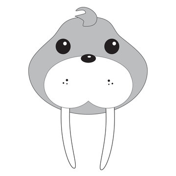 Baby walrus face