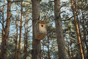 birdhouse in a tree in the winter forest