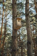 birdhouse in a tree in the winter forest