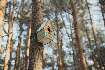 birdhouse in a tree in the winter forest