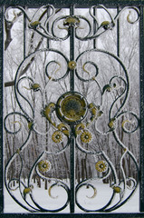 fragment of park fence powdered with frost
