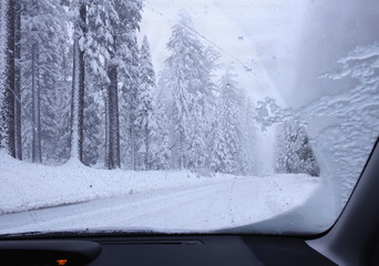 Driving though snowy forest