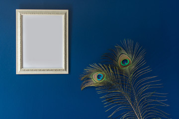 photo frame and peacock tail feathers