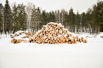 timber harvesting