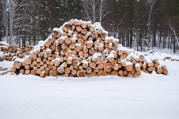 timber harvesting
