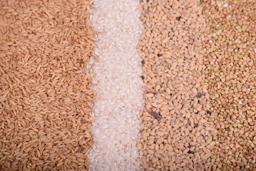 4 kinds of grains