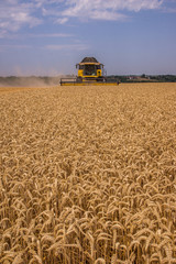 Moisson de bl&eacute;