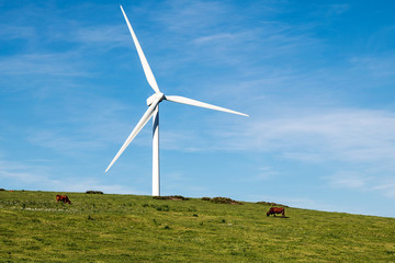 Wind turbines in Facinas. Tarifa, Spain.