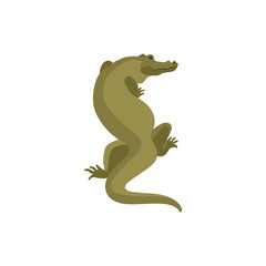 Crocodile style vector illustration Flat
