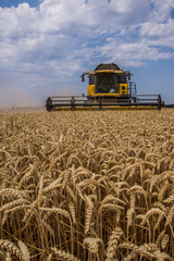 Moisson de bl&eacute;