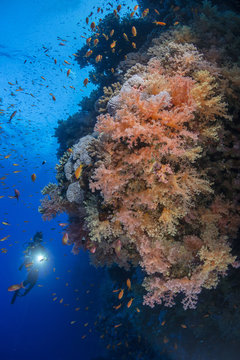 Deep Colors 3