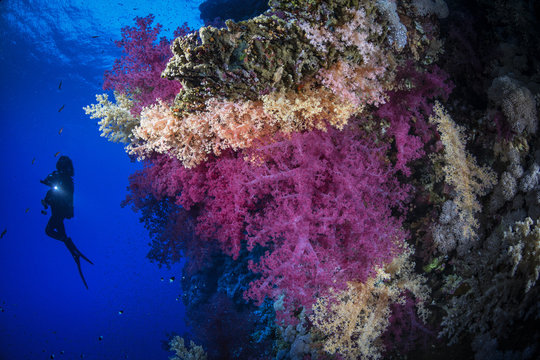 Deep Colors 2