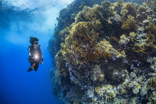 Reefscapes 2