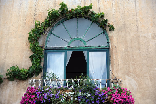 Open window, flowers and ivy 