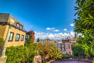 blue sky over San Francisco bay