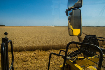 Moisson de bl&eacute;