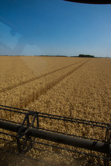 Moisson de bl&eacute;