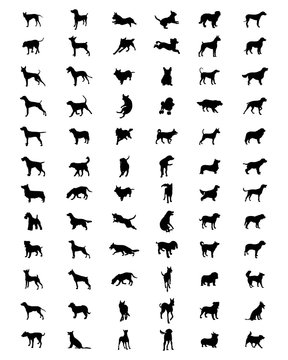 Black silhouettes of dogs on a white background, vector