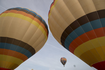 ascension of hot air balloons festival