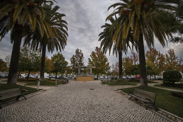 Fototapeta premium Piękny park miejski