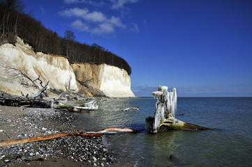 Kreidek&uuml;ste im Winter