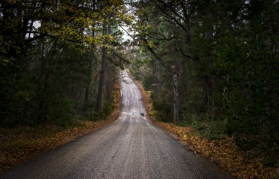 Road less traveled