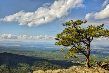 Fototapeta na wymiar Blue Ridge Mountains view of Sheandoah Valley