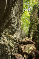 Dettinger Höllenlöcher 