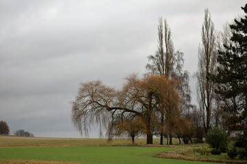 Bauernland bei Marburg im Herbst,
