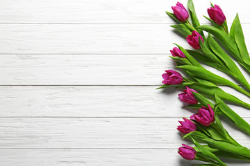 Purple beautiful tulips on white wooden background