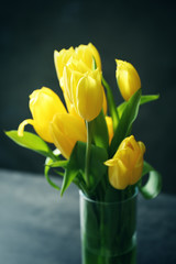 Bouquet of beautiful tulips on color background
