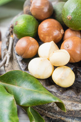 Macadamia nuts with shell - tasty expensive fat nuts