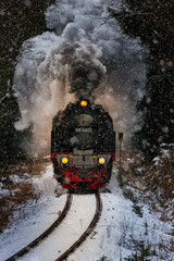 Harzer Schmalspurbahnen Selketalbahn