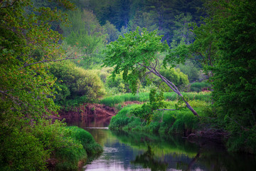 Fototapeta na wymiar River in rural North America.