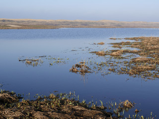 Dunes of Texel National Park